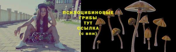 ГАЛЛЮЦИНОГЕННЫЕ ГРИБЫ Карталы