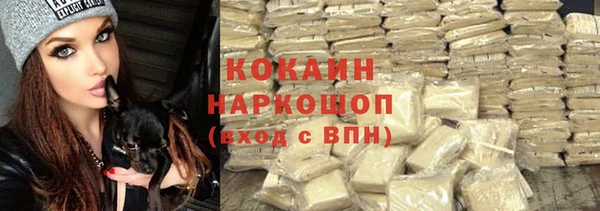 ГАЛЛЮЦИНОГЕННЫЕ ГРИБЫ Карталы