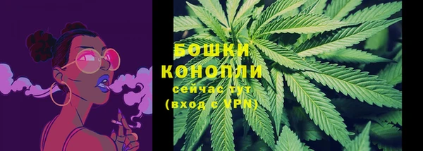 ГАЛЛЮЦИНОГЕННЫЕ ГРИБЫ Карталы